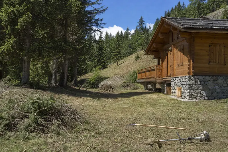 Un chalet en bois au bord de la forêt, l'herbe tondue tout autour et des tas de branches coupées prêts à être enlevés.